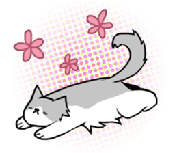 Everyday second round of cat sticker #6244945
