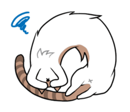 Everyday second round of cat sticker #6244946