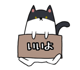 Everyday second round of cat sticker #6244947