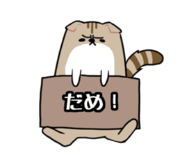 Everyday second round of cat sticker #6244948