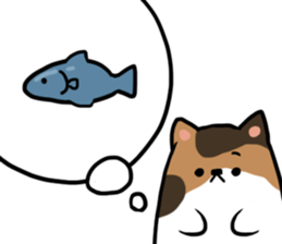 Everyday second round of cat sticker #6244949