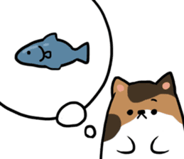 Everyday second round of cat sticker #6244949