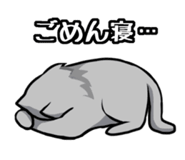 Everyday second round of cat sticker #6244951