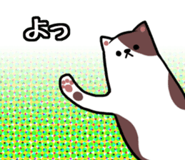 Everyday second round of cat sticker #6244955