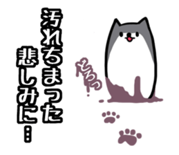 Everyday second round of cat sticker #6244963