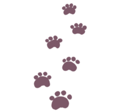 Everyday second round of cat sticker #6244964