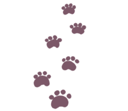 Everyday second round of cat sticker #6244964