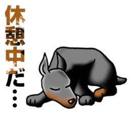 Bluntness Doberman Dog Sticker(Japanese) sticker #6247352