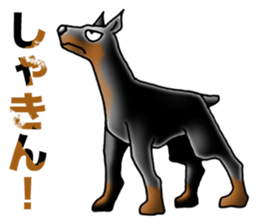 Bluntness Doberman Dog Sticker(Japanese) sticker #6247358