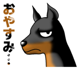 Bluntness Doberman Dog Sticker(Japanese) sticker #6247379