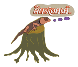 Mod Som Noi sticker #6247587