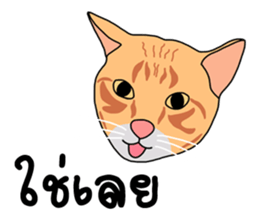 Meow indy cat sticker #6249601