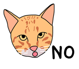 Meow indy cat sticker #6249602