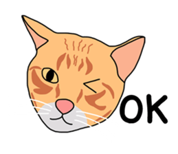 Meow indy cat sticker #6249603