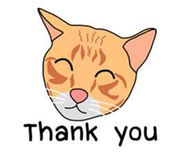 Meow indy cat sticker #6249604