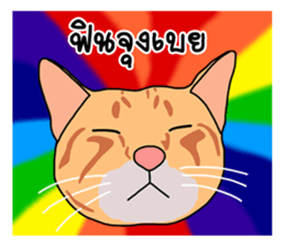 Meow indy cat sticker #6249605