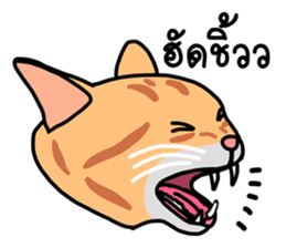 Meow indy cat sticker #6249606