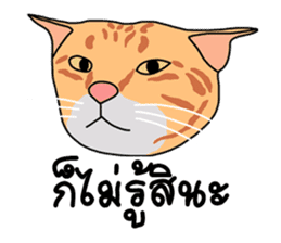 Meow indy cat sticker #6249608