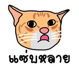 Meow indy cat sticker #6249610