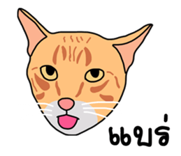 Meow indy cat sticker #6249611