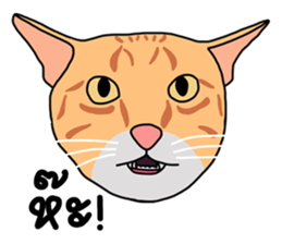 Meow indy cat sticker #6249613