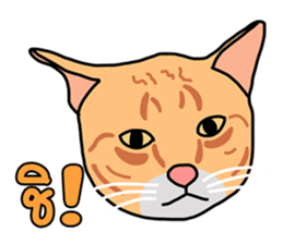 Meow indy cat sticker #6249615