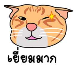Meow indy cat sticker #6249616