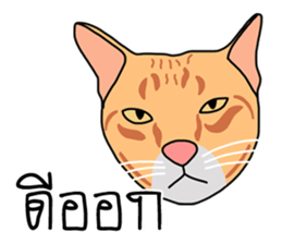 Meow indy cat sticker #6249617