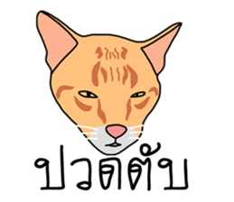Meow indy cat sticker #6249618