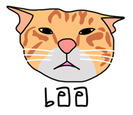 Meow indy cat sticker #6249619