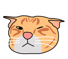 Meow indy cat sticker #6249620