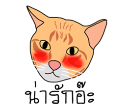 Meow indy cat sticker #6249624