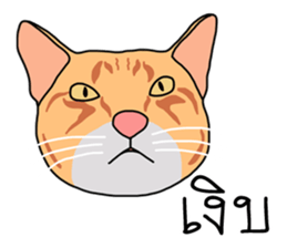 Meow indy cat sticker #6249627