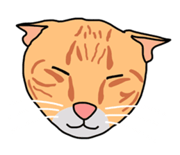 Meow indy cat sticker #6249629