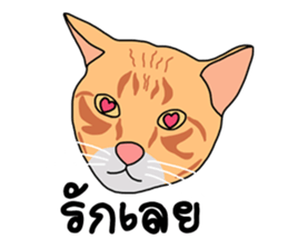 Meow indy cat sticker #6249630