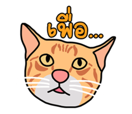 Meow indy cat sticker #6249631