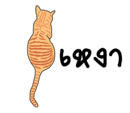 Meow indy cat sticker #6249632