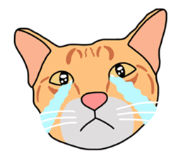 Meow indy cat sticker #6249633