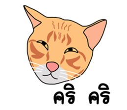 Meow indy cat sticker #6249634