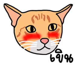 Meow indy cat sticker #6249636