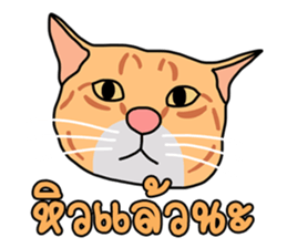 Meow indy cat sticker #6249637