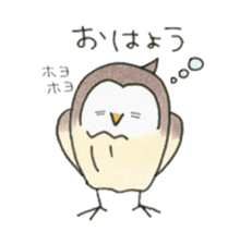 Hand-painted Owl's sticker #6249841