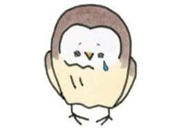 Hand-painted Owl's sticker #6249848