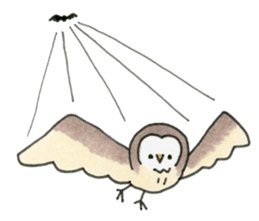 Hand-painted Owl's sticker #6249849