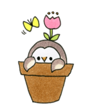 Hand-painted Owl's sticker #6249873