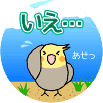 A lot of Birds "RERERERE parakeets" sticker #6251292