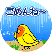 A lot of Birds "RERERERE parakeets" sticker #6251294