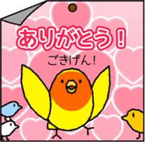 A lot of Birds "RERERERE parakeets" sticker #6251302