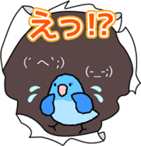 A lot of Birds "RERERERE parakeets" sticker #6251315