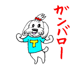 Maltese dog "Taro" mutters daily! sticker #6252640